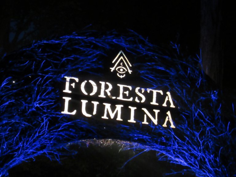 Foresta Lumina