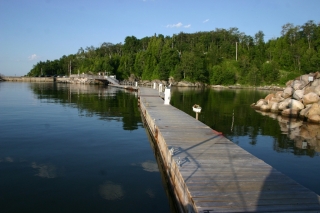 t_498_9896.jpg