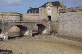 t_DSC01000.jpg