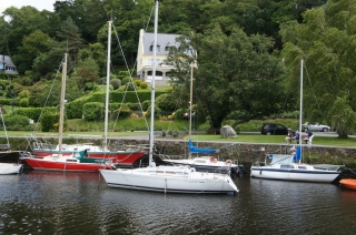 t_DSC01602.jpg