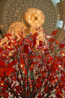 t_IMG_8787.jpg