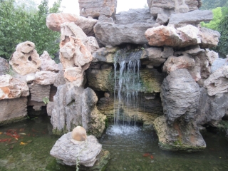 t_IMG_8490.jpg