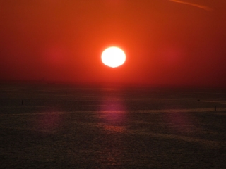 t_IMG_2630.jpg