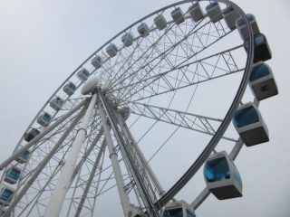 t_IMG_2706.jpg
