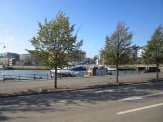 t_IMG_2759.jpg