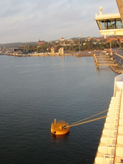 t_IMG_2812.jpg