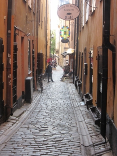t_IMG_3041.jpg