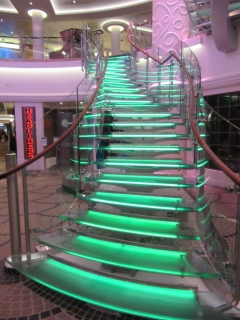 t_IMG_3137.jpg