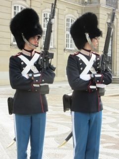 t_IMG_3342.jpg
