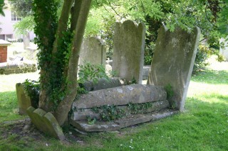 t_IMG_0851.jpg