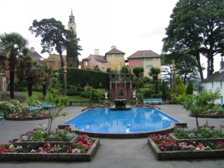 t_488_8888.jpg