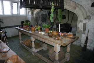 t_495_9571.jpg