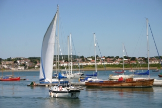 t_496_9625.jpg