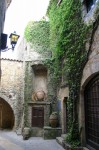 t_IMG_3570.jpg