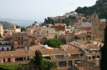 t_IMG_3608.jpg
