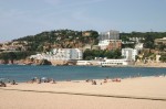 t_IMG_3617.jpg