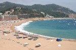 t_IMG_3692.jpg