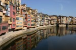 t_IMG_3743.jpg