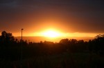 t_IMG_3963.jpg