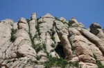 t_IMG_4004.jpg