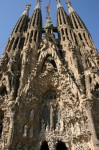 t_IMG_4211.jpg