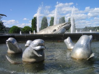 t_305_0593.jpg