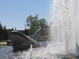 t_306_0601.jpg