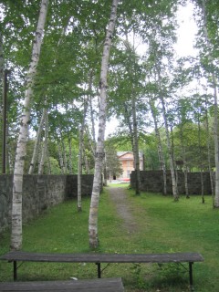 t_306_0668.jpg