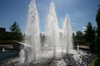 t_354_5433.jpg