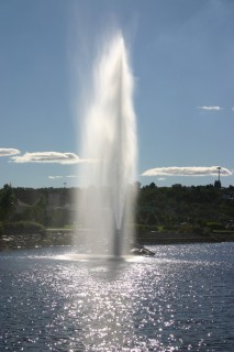 t_354_5445.jpg