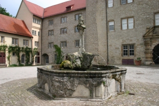 t_IMG_3761.jpg