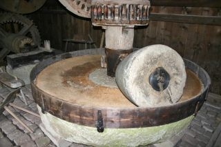 t_IMG_5227.jpg