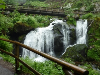 t_IMG_5330.jpg