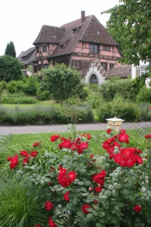 t_IMG_5428.jpg