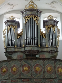 t_IMG_5453.jpg