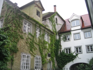 t_IMG_5454.jpg