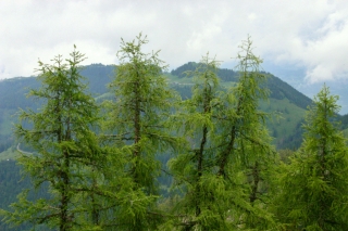 t_IMG_5842.jpg