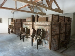 t_IMG_5994.jpg