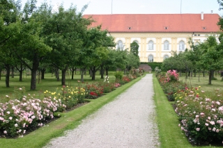 t_IMG_6031.jpg