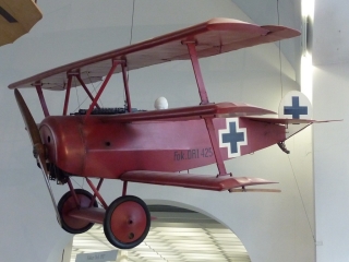 t_IMG_6481.jpg