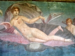 t_IMG_8059.jpg