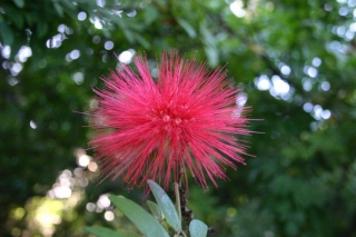 t_IMG_7475.jpg