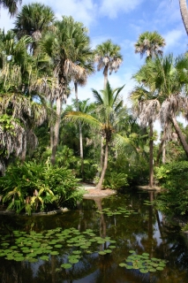t_IMG_7577.jpg