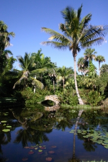 t_IMG_7752.jpg