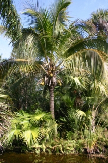 t_IMG_1175.jpg