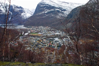 t_IMG_9494.jpg