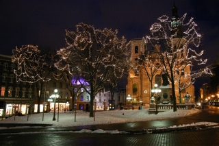 t_IMG_8170.jpg
