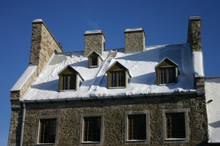 t_IMG_3156.jpg