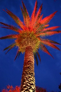 t_303_0369.jpg