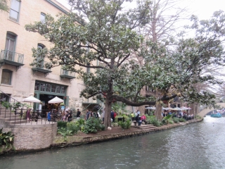 t_IMG_3360.jpg